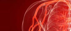 angiologia-pinheiros-1394541855