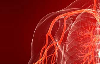 Mulatti Reinaldo Angiologista Doenças Vasculares - Foto 1