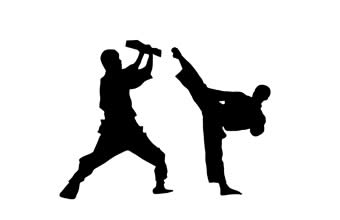 Associação Kyokushin de Karatê - Foto 1