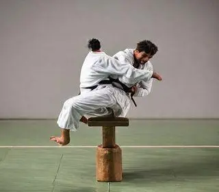 Balanço Internacional do Judô Paulista em 2025