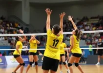 Prefeitura Municipal de Chapecó