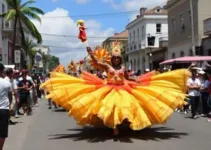 Subprefeitura Pinheiros Carnaval