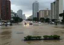 alagos marginal Tietê Pinheiros