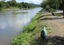 melhoria na qualidade da água do Rio Pinheiros