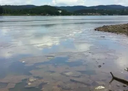 Últimas noticias de Pinheiros