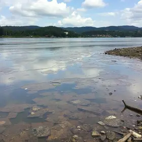 retrocesso no projeto de despoluição do Rio Pinheiros