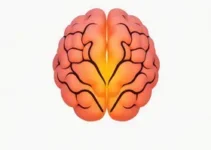 CBT