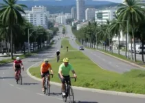 Ciclo Comitê Paulista