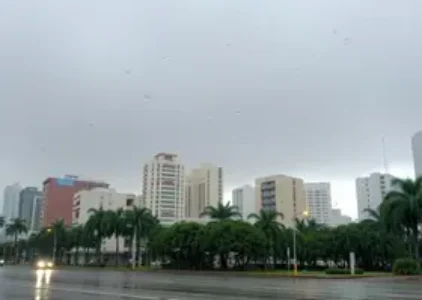 Últimas noticias de Pinheiros
