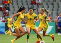 Libertadores de Handebol Feminino