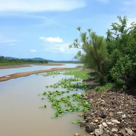 despoluição do Tietê e Pinheiros