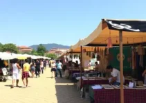 5ª Virada ODS
