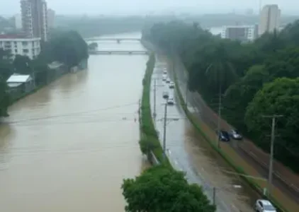 Últimas noticias de Pinheiros