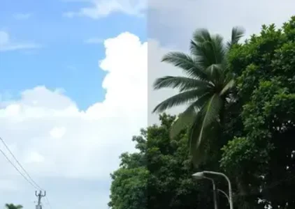 Últimas noticias de Pinheiros