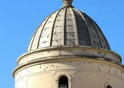 Últimas noticias de Pinheiros