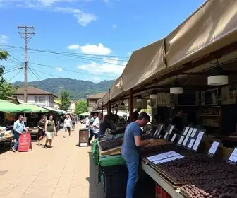 chocolate bean to bar