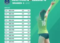 Paulista de vôlei feminino